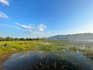 [Translate to German:] Xhiro n Shkoder - Bregu i Ranes